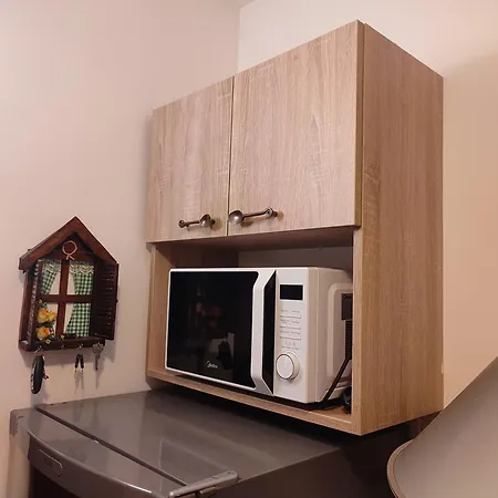 Miklusev Apartment Kopaonik