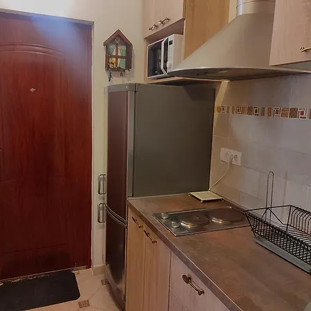 Miklusev Apartment